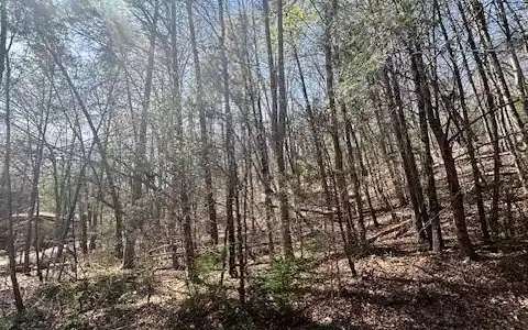 Lot 51 Fairway Drive