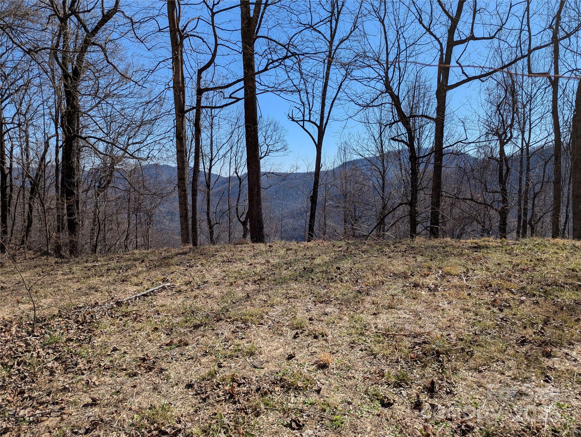 Image 4 Image 4
