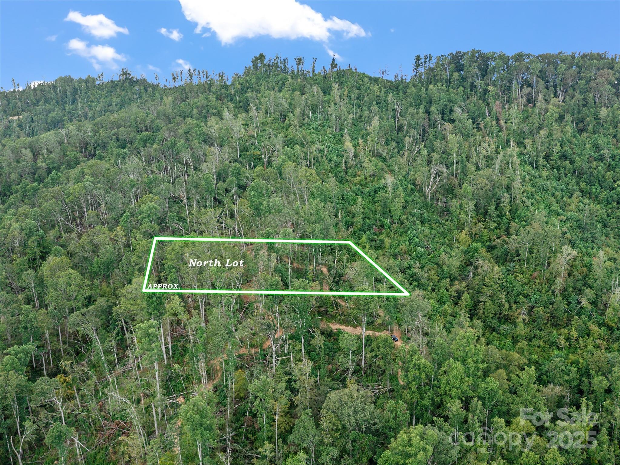Image 1 Image 1