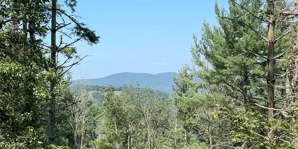Image 2 Image 2