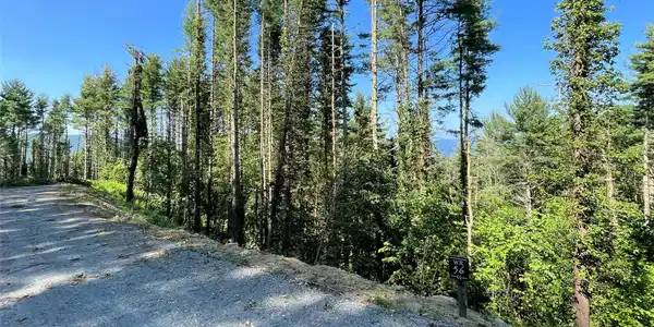 Image 4 Image 4
