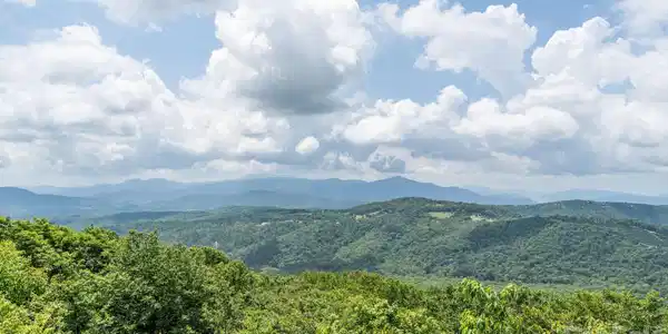 Image 4 Image 4