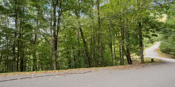 Image 3 Image 3