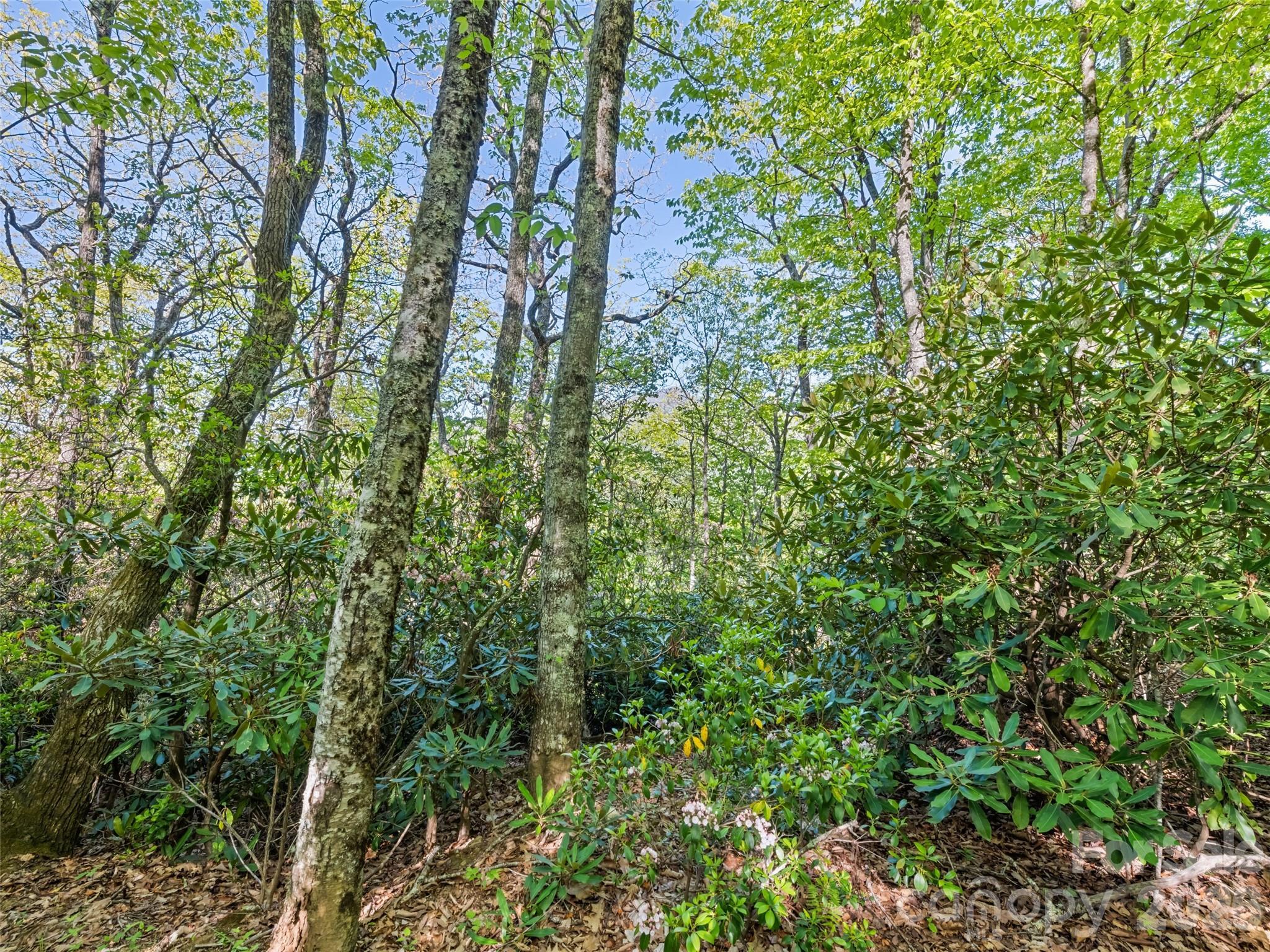 Image 1 Image 1