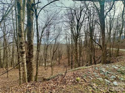 TBD Alpine Drive