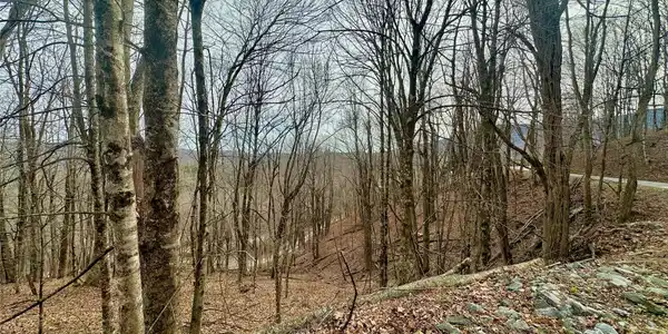 TBD Alpine Drive