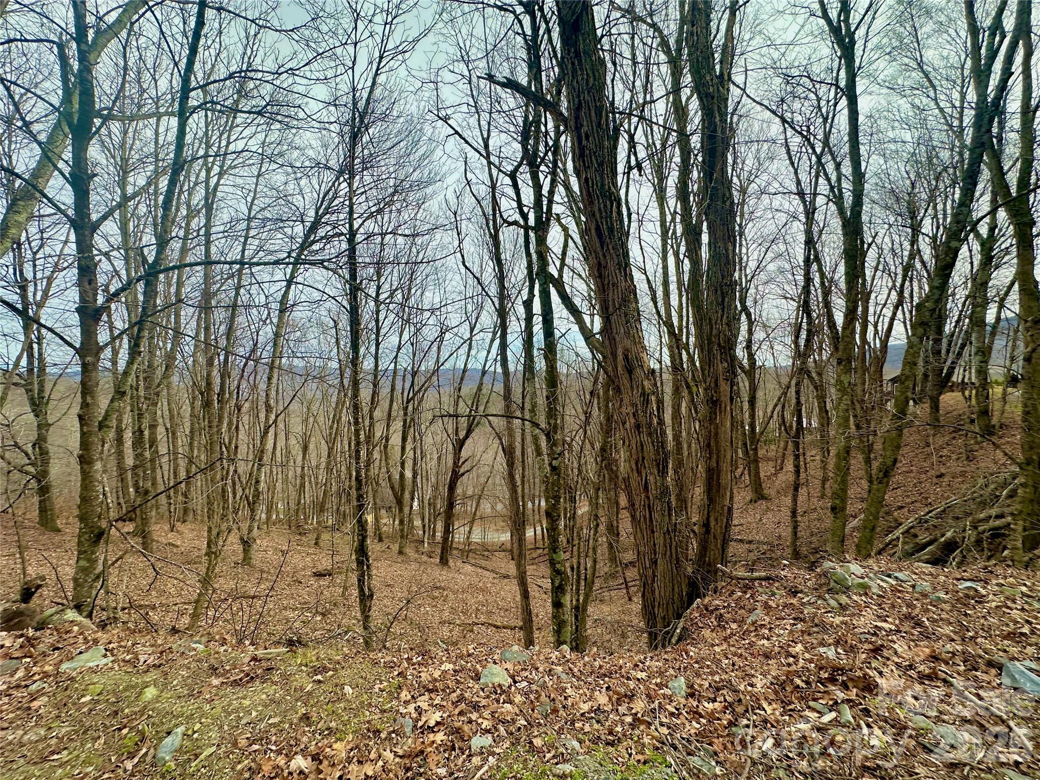 Image 2 Image 2