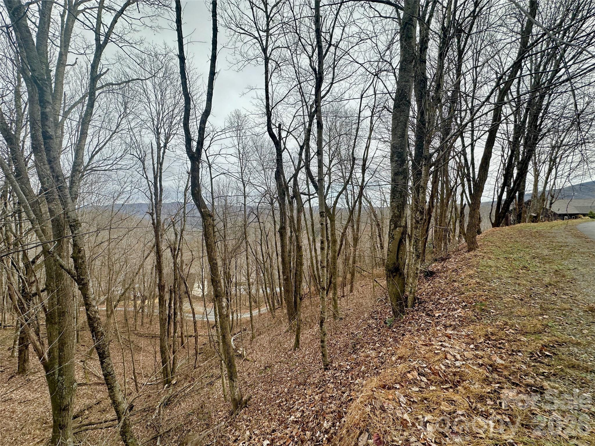 Image 3 Image 3