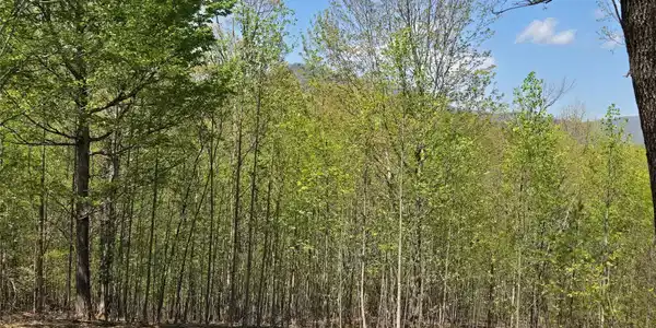 Image 4 Image 4