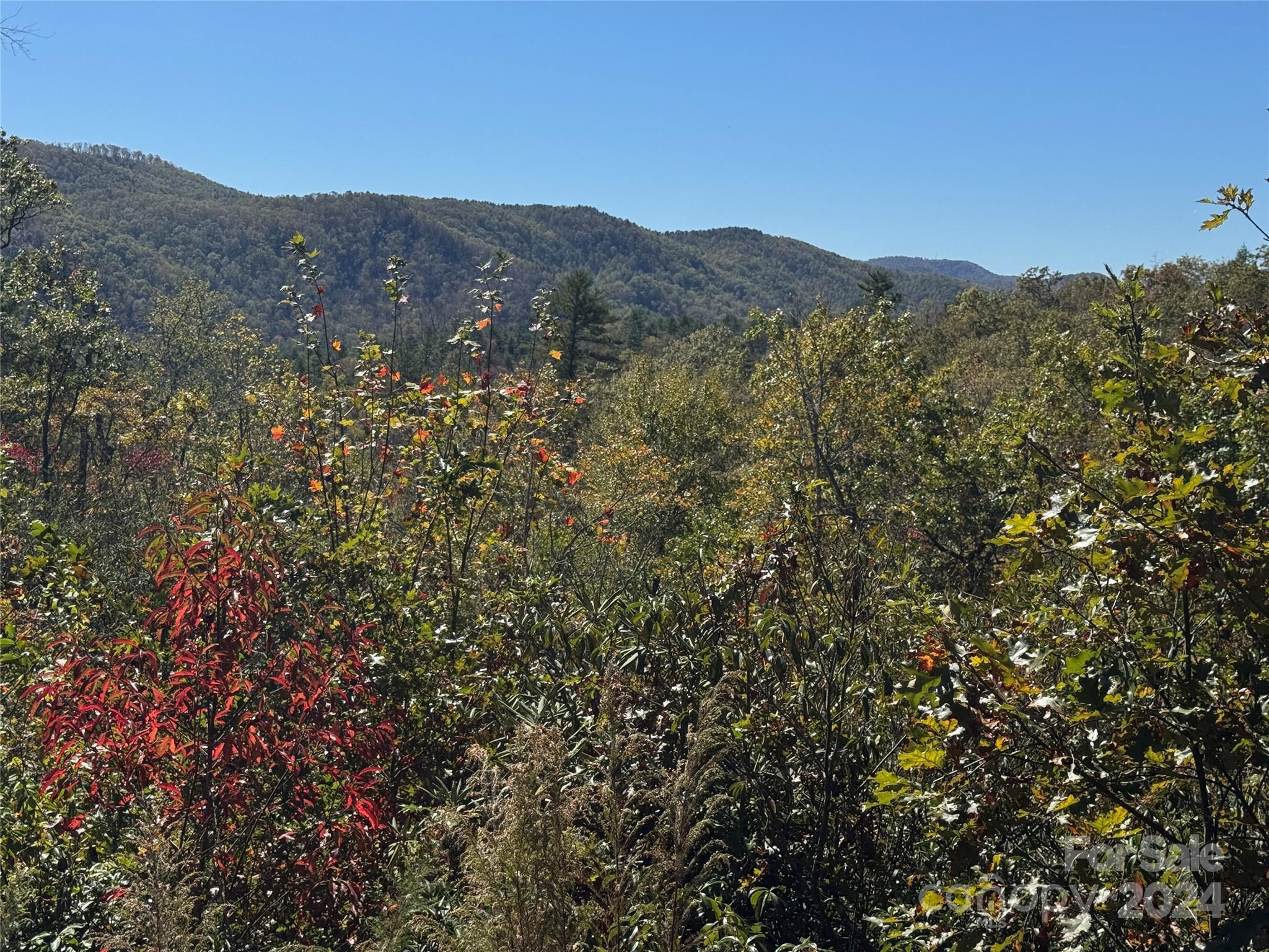 Image 4 Image 4
