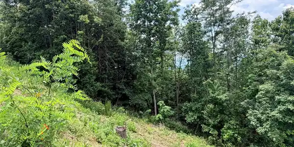 Image 4 Image 4