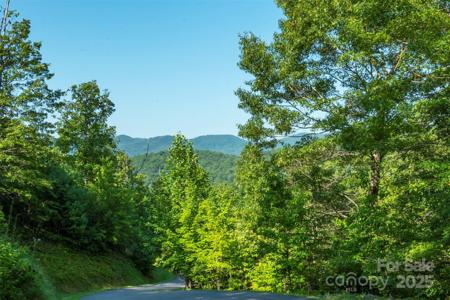 230 White Rapid Road