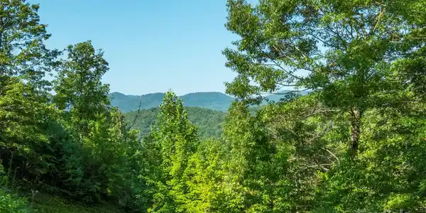 230 White Rapid Road