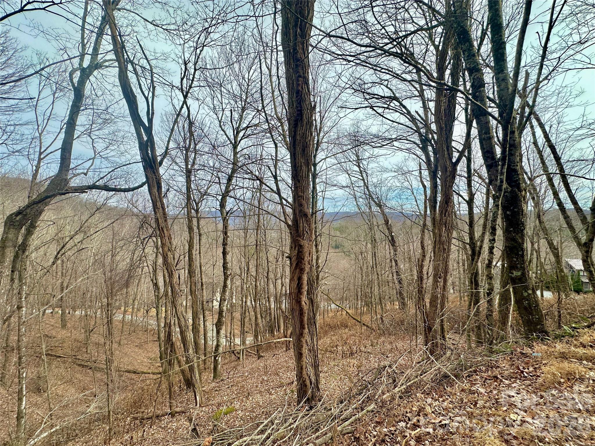 Image 4 Image 4