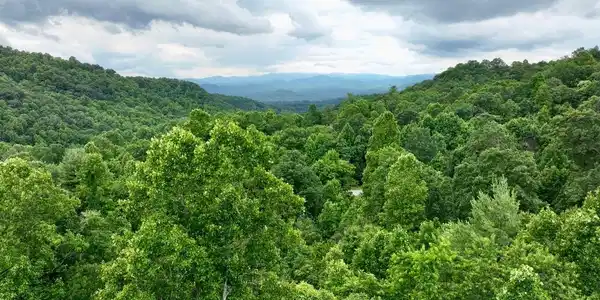 150 Thistlewynd Trail