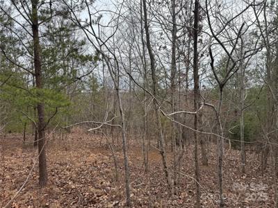00 Stonecrest Parkway