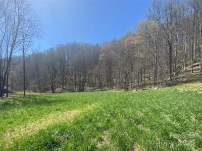 00 Laurel Valley Road