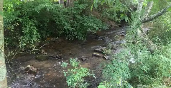 Image 4 Image 4
