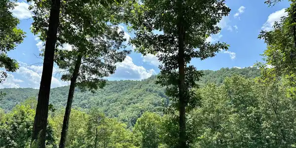 4110 French Broad Parkway