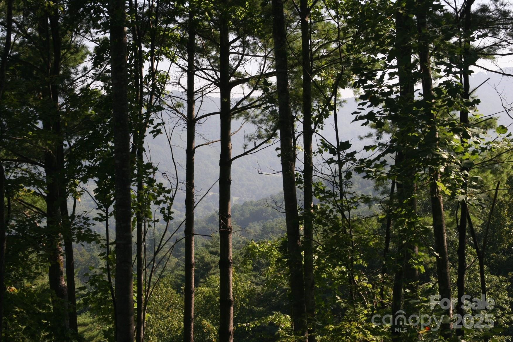 Image 4 Image 4