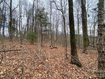 395 W Chestnut Ridges Road