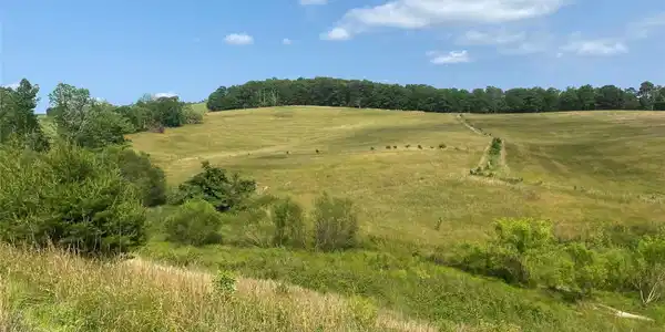 00 Summer Road