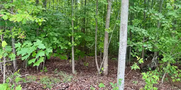 Image 3 Image 3