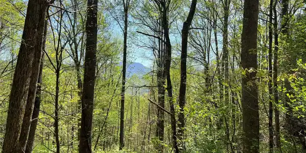 Image 4 Image 4