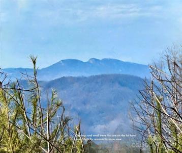 Lot 159 Rocky Falls Lane