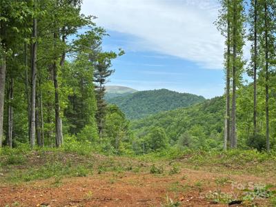 (SW Lot) TBD Silas Branch Road