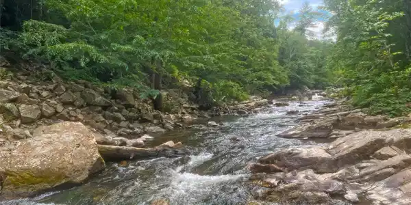 Image 4 Image 4