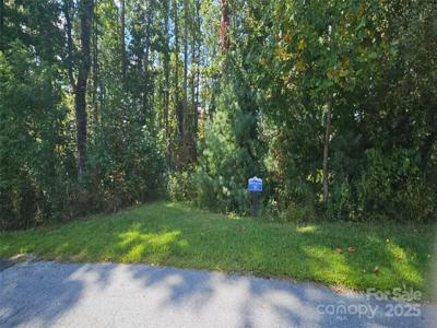 00 Bearwallow Mountain Drive