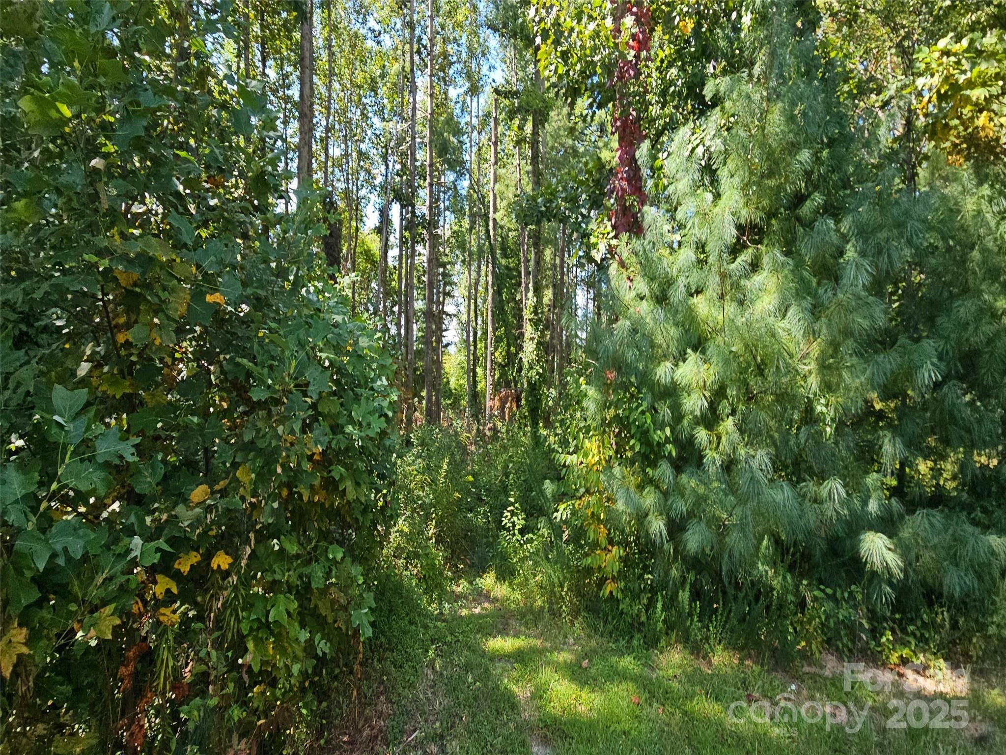 Image 4 Image 4
