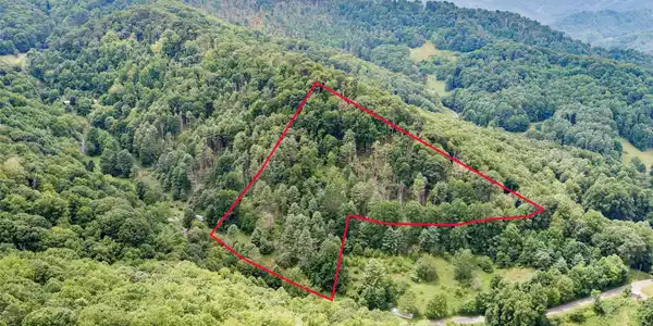 Image 3 Image 3