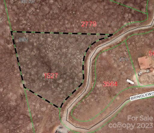 Image 4 Image 4
