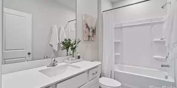 Image 4 Image 4