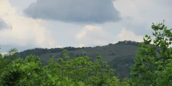 Image 4 Image 4