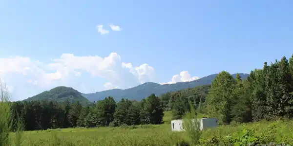 Image 4 Image 4