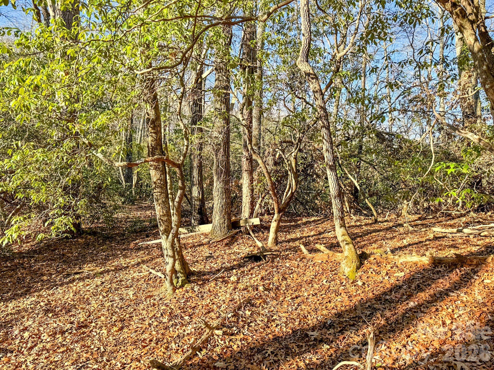Image 3 Image 3
