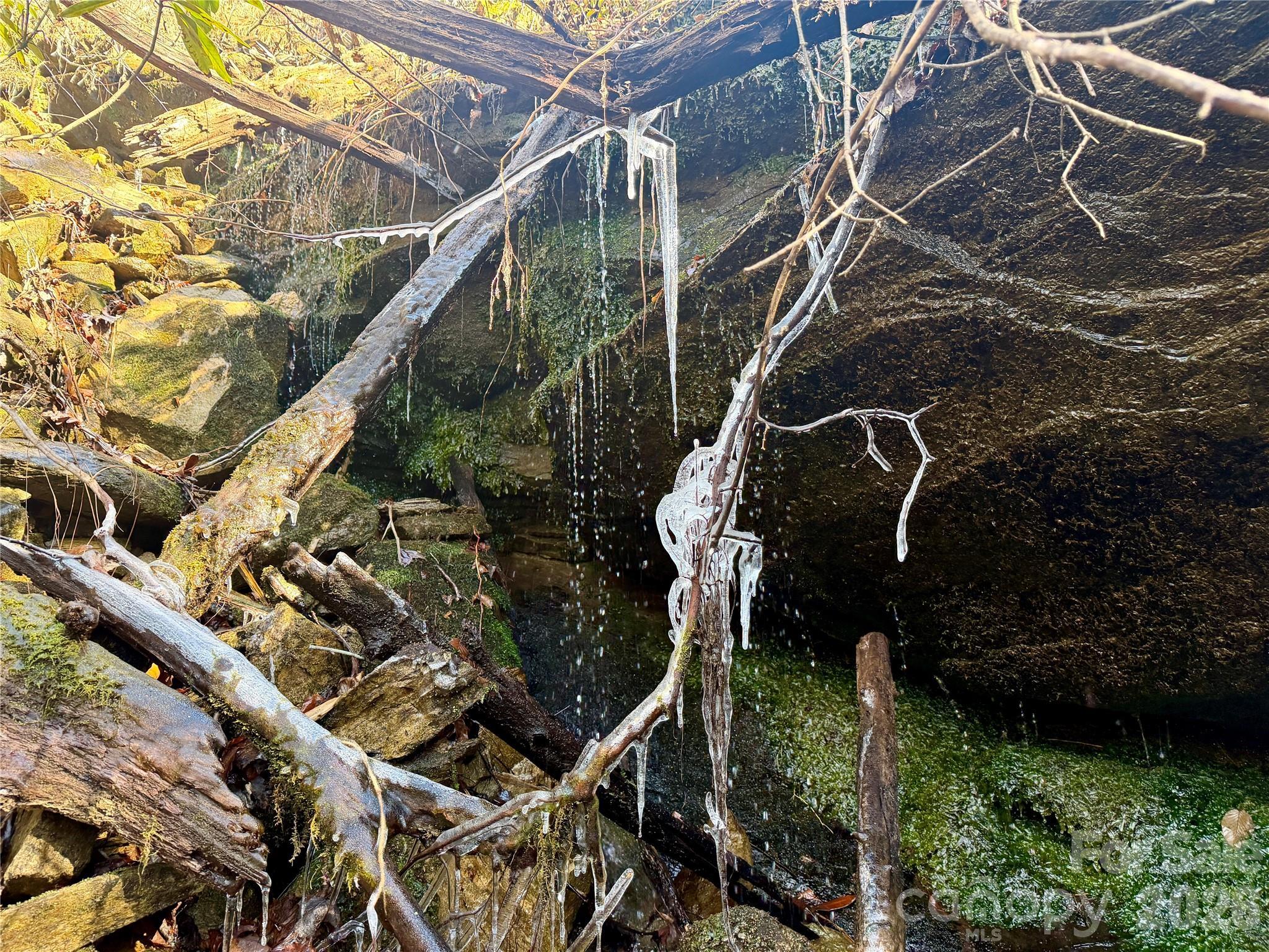 Image 4 Image 4