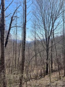 000 Trotters Trail