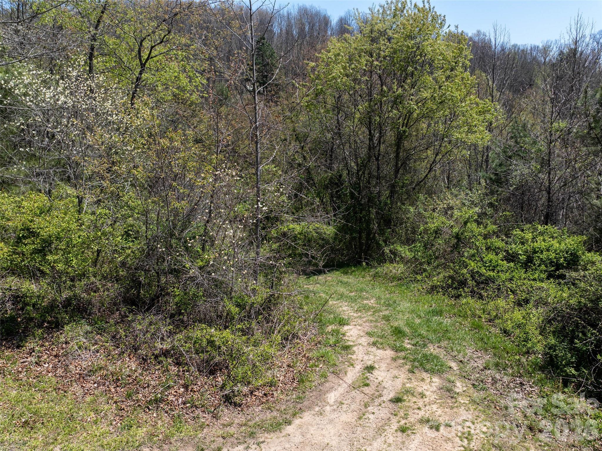 Image 3 Image 3