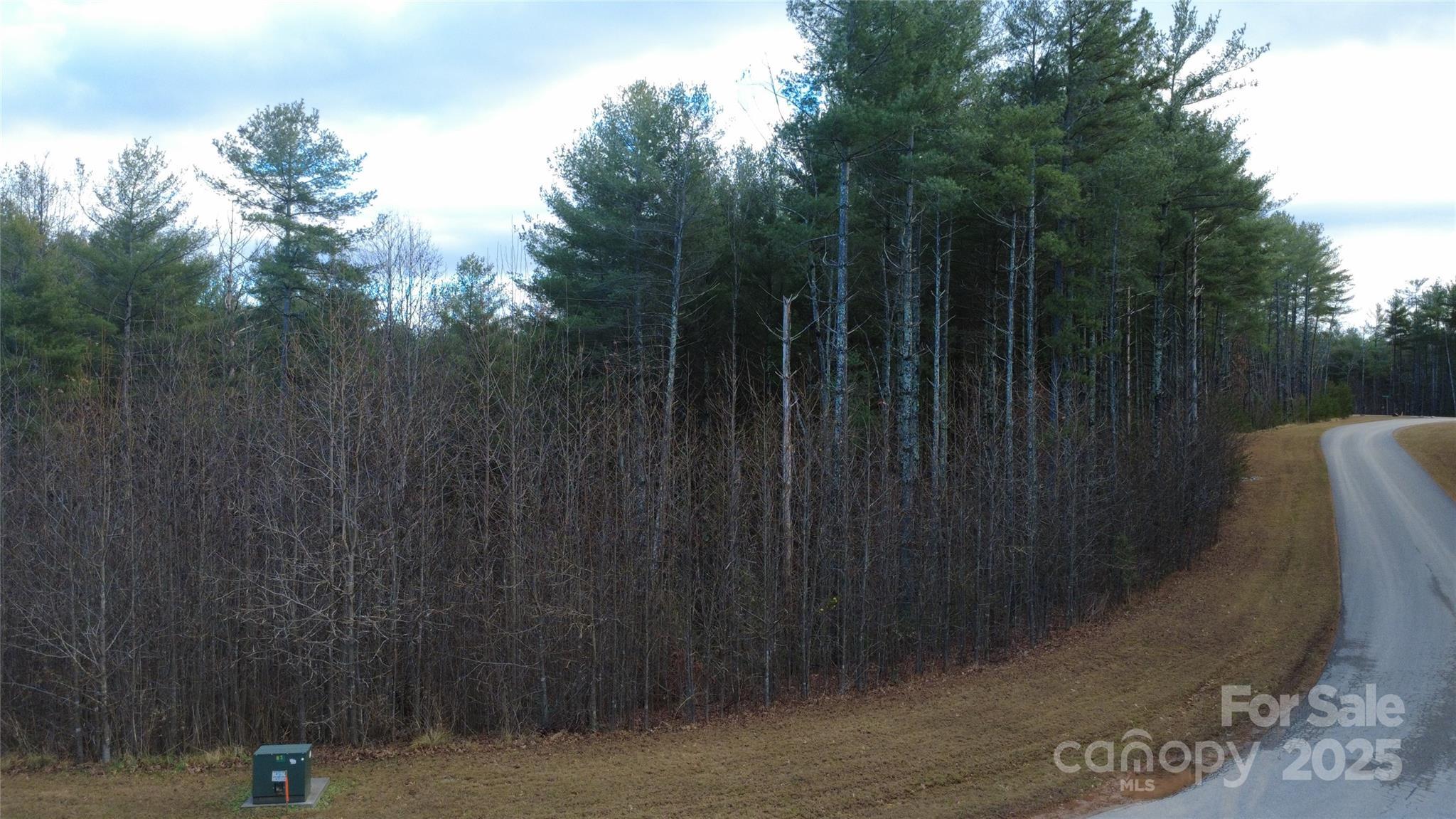 Image 1 Image 1