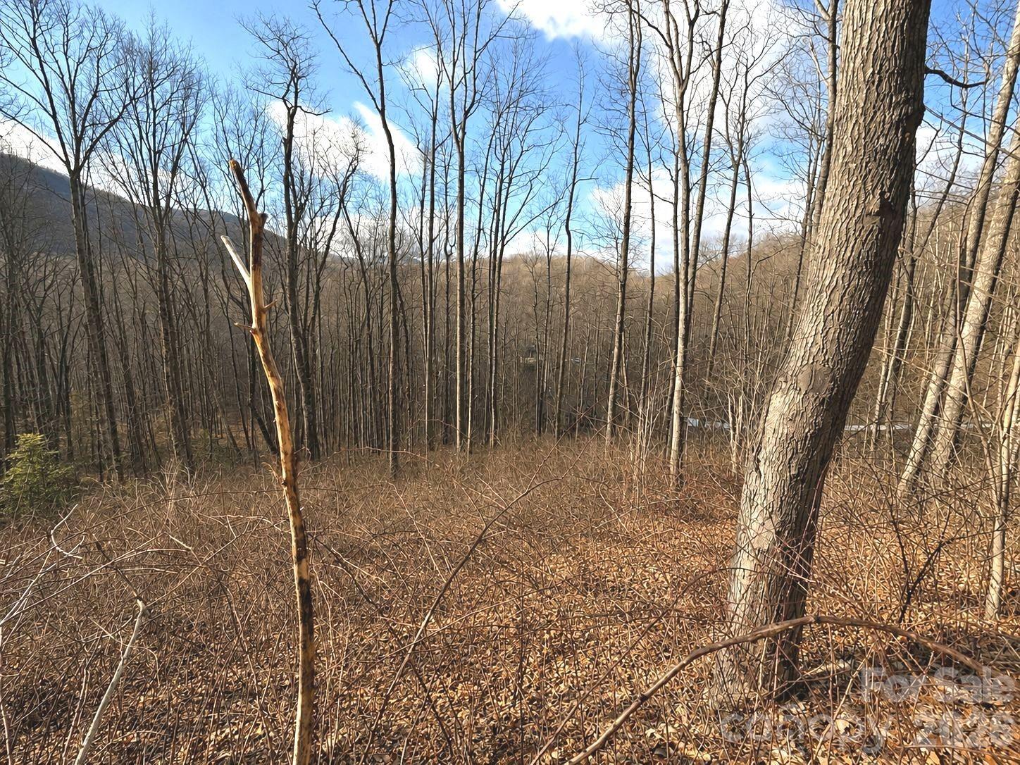 Image 3 Image 3