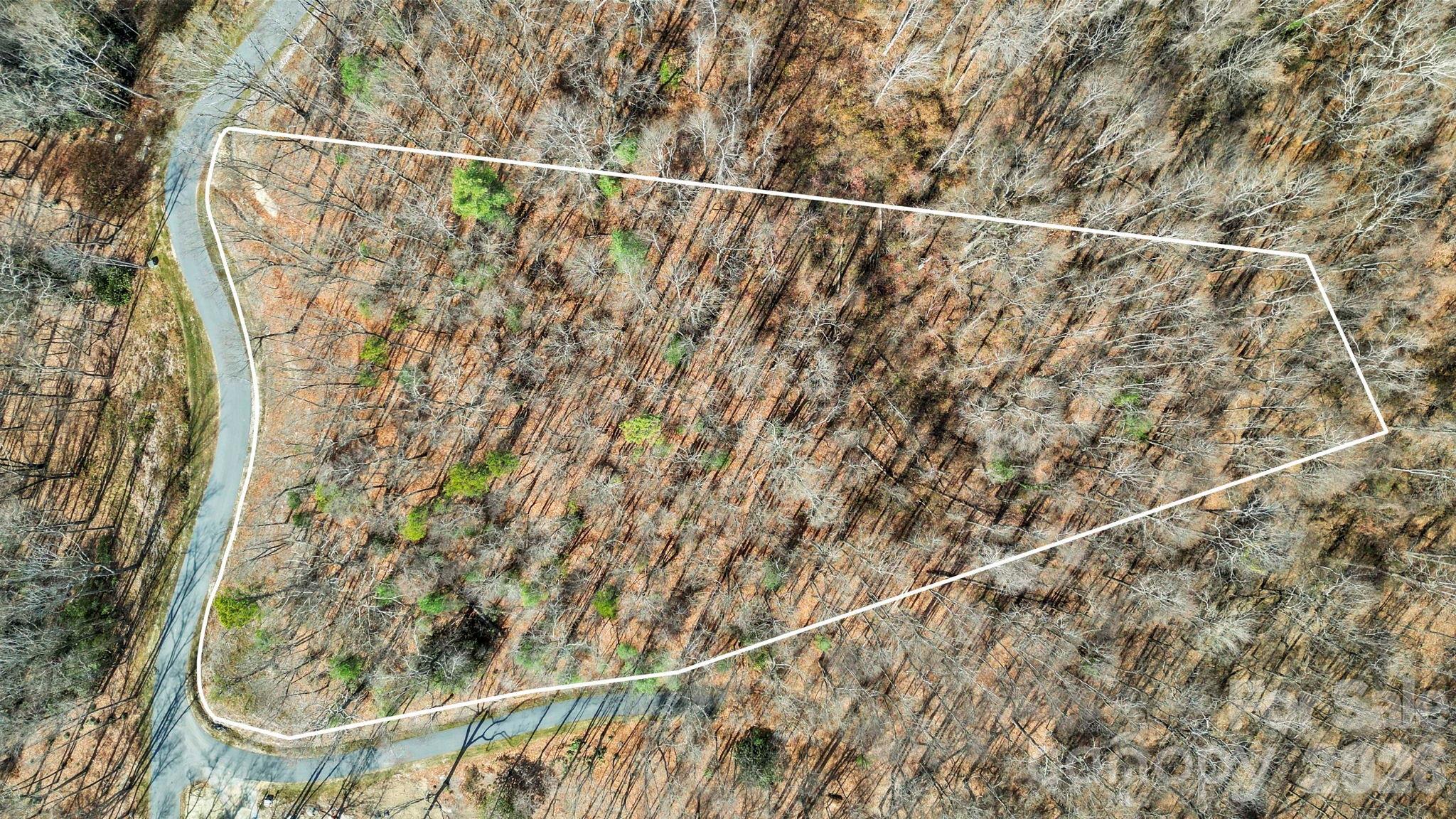 Image 2 Image 2