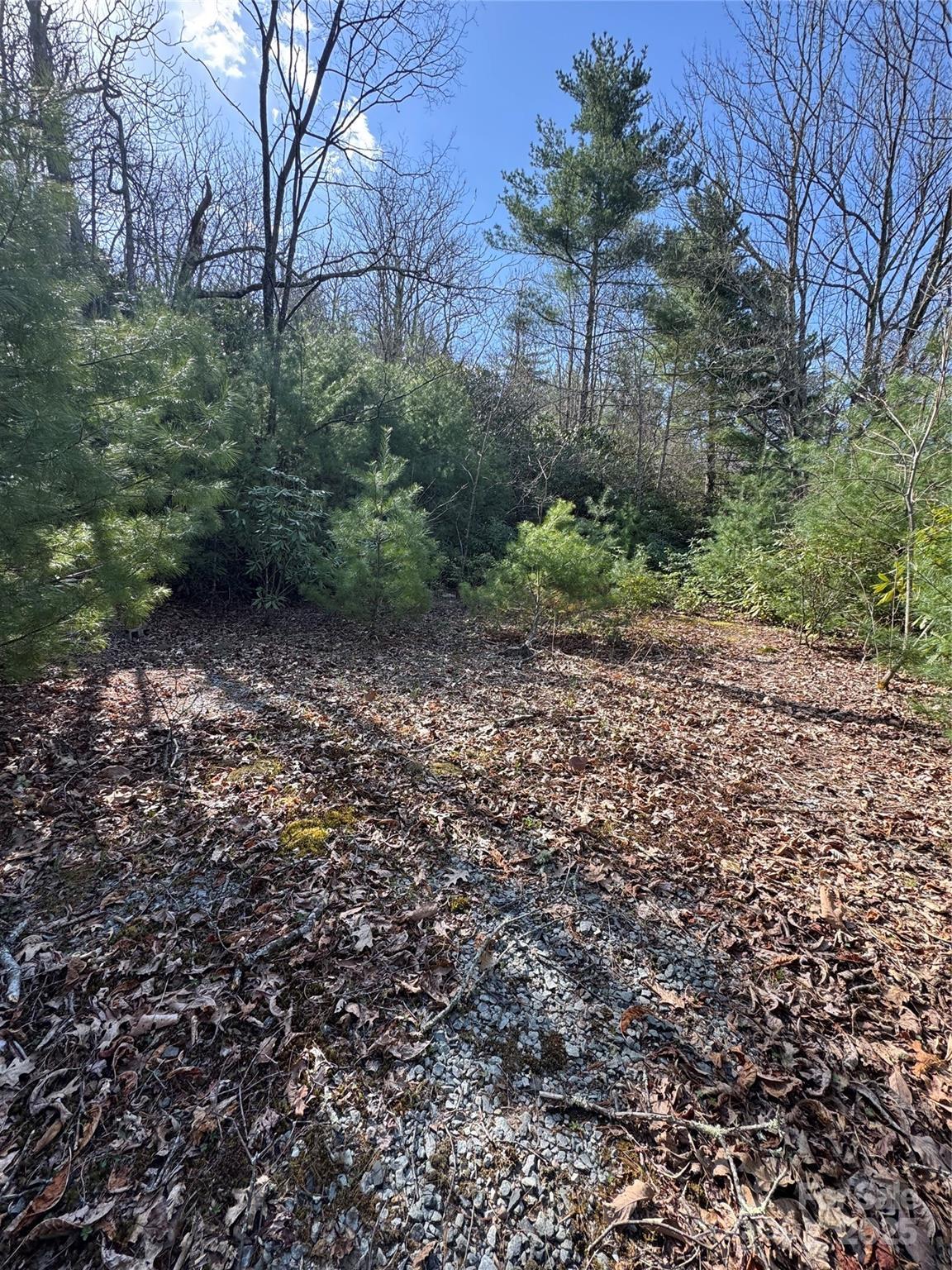 Image 1 Image 1