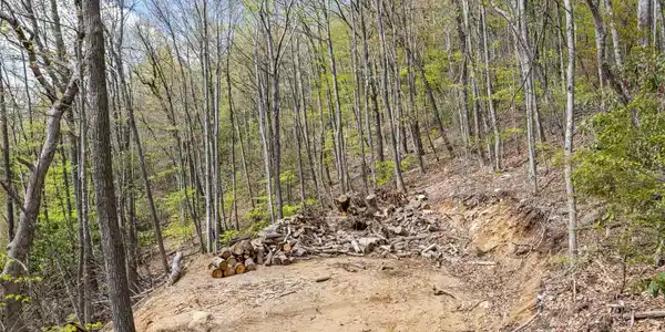 Image 4 Image 4