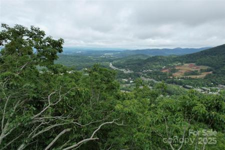 52 Castanea Mountain Drive