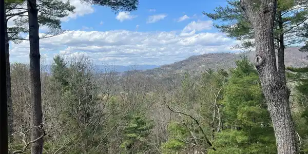 2902 Timber Trail