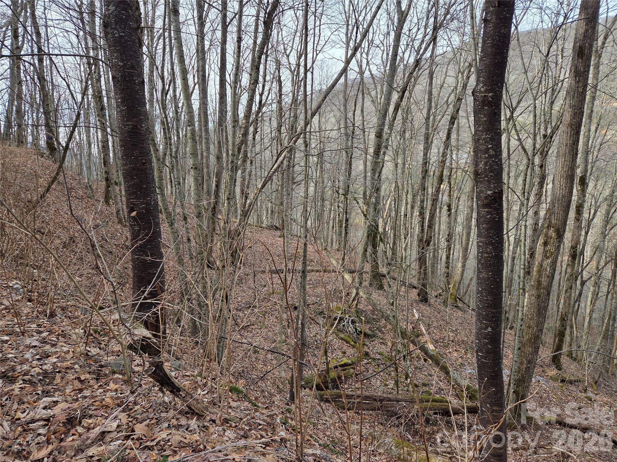Image 4 Image 4
